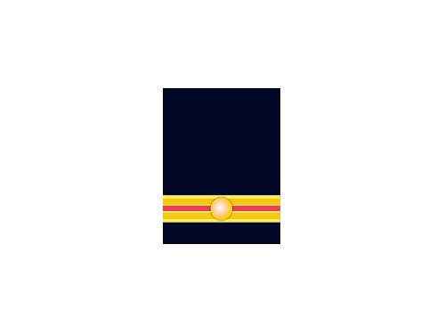 Brandmeester